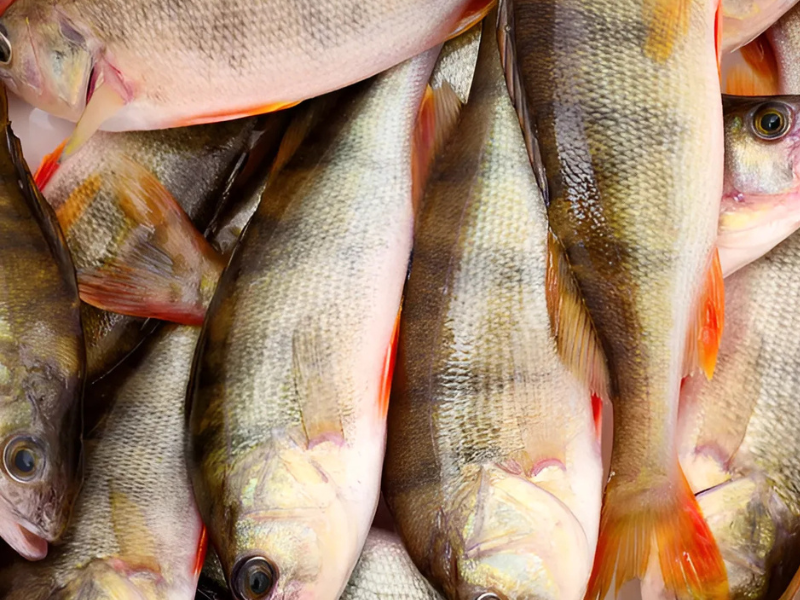 Gallery Item 1 copy copy copy copy